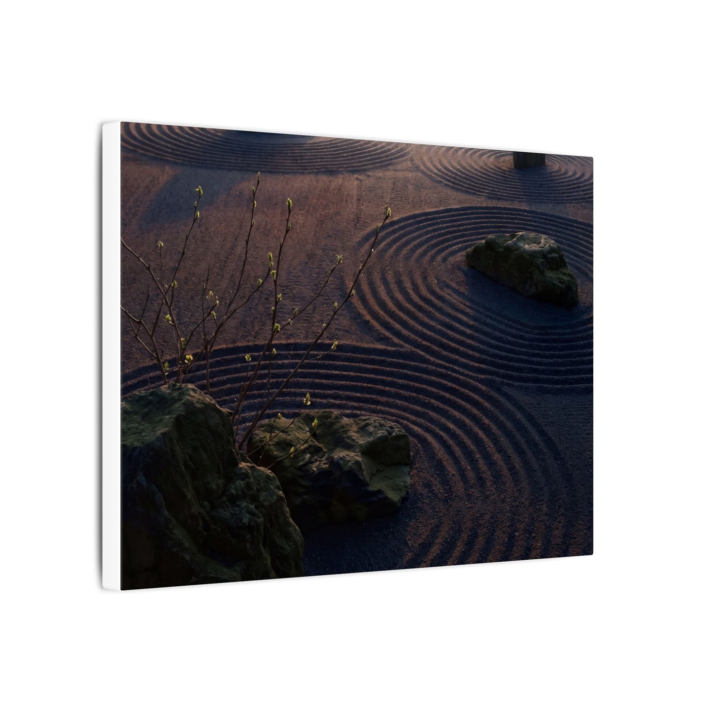 Spring Rock Garden Shadow Zen Canvas Art | Luxurious Decor
