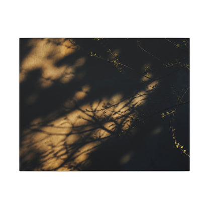 Moody Shadow Play Canvas Art - Moody Minimal Dark Japandi