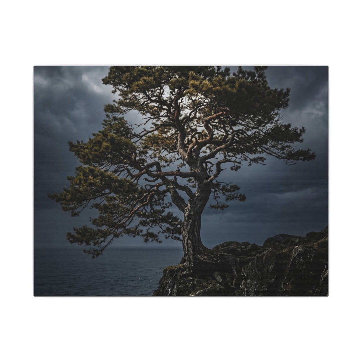 Dappled Pine Tree Canvas Art - Dark Japandi Fukinsei Art Print