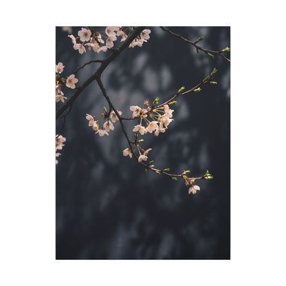 Cherry Blossom Moody Minimal Canvas Art | Bold Dark Japandi Art
