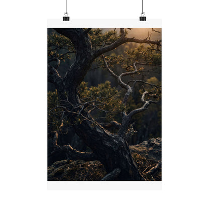 Pine Tree Spring Wall Art Print | Dark Japandi Sophisticated Design Art Print