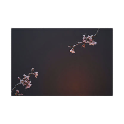 Dark Japandi Cherry Blossom in Candlelight | Moody Minimal Canvas Art Art Print