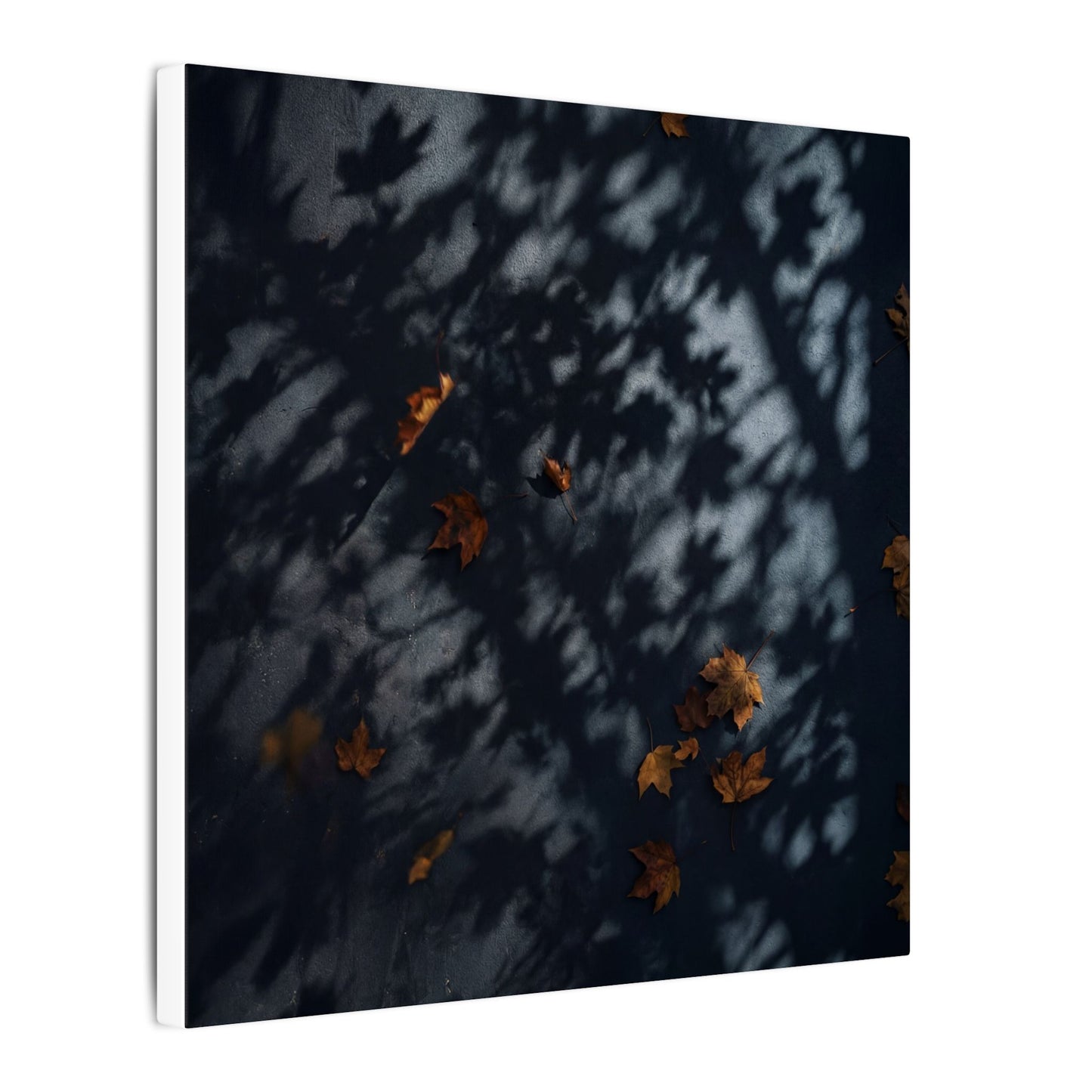 Autumn Shadow Play Shadow Zen Canvas Art | Atmospheric Decor