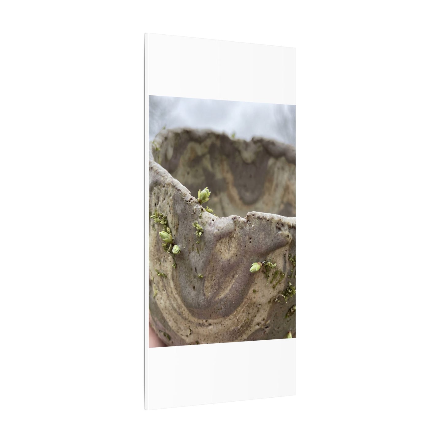 Overcast Ceramic Bowl Canvas Art - Japandi Fukinsei