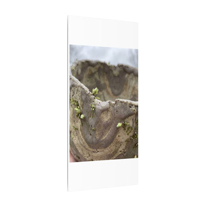 Overcast Ceramic Bowl Canvas Art - Japandi Fukinsei