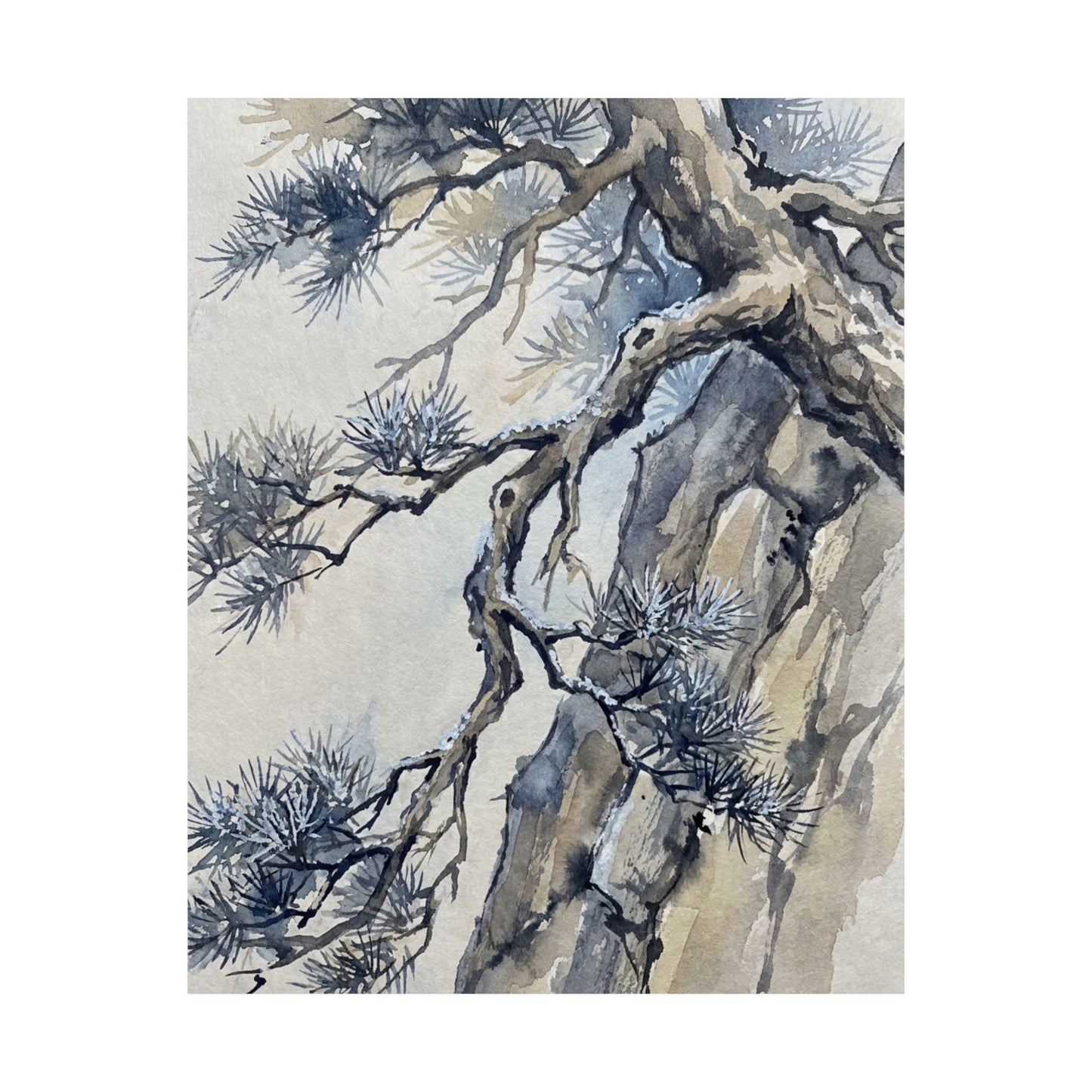 Seijaku Pine Tree Wall Art Print - Japandi Watercolor