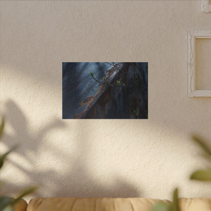 Rust Patina Canvas Art | Spring Dark Japandi Shadow Zen Art