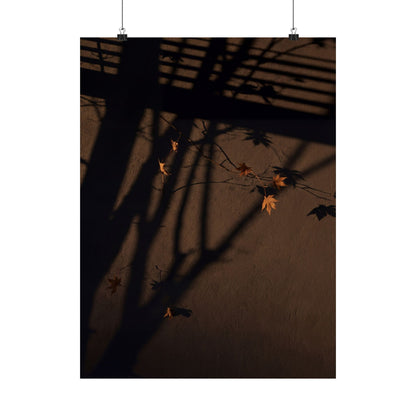 Autumn Shadow Play Shadow Zen Wall Art Print | Sophisticated Decor Art Print