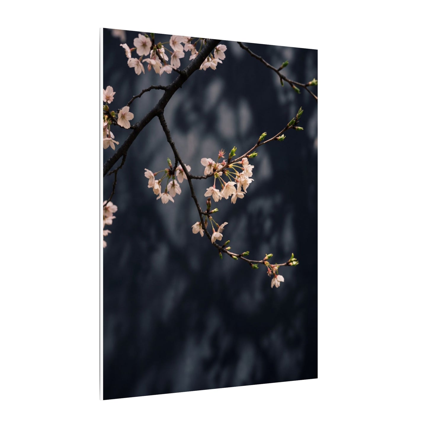 Cherry Blossom Moody Minimal Canvas Art | Bold Dark Japandi Art