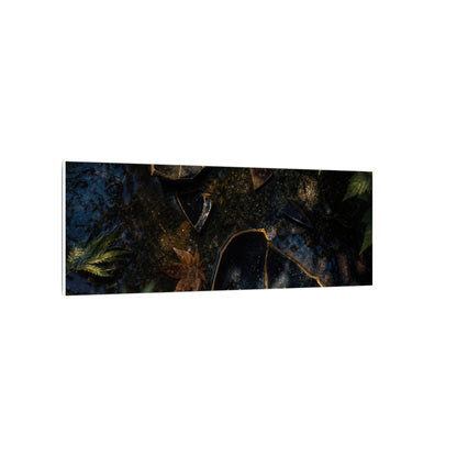 Dark Japandi Broken Pottery in Dappled | Shadow Zen Canvas Art