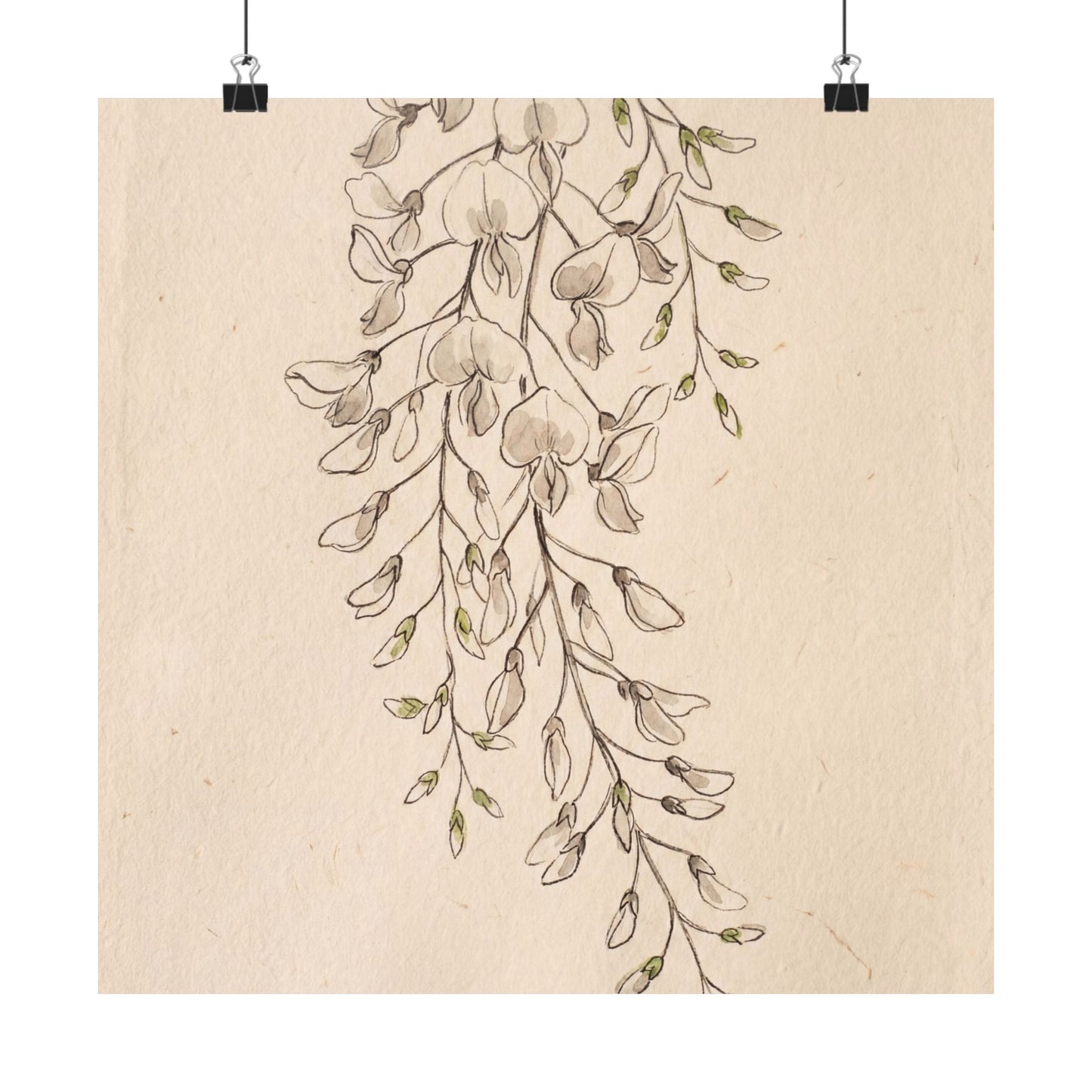 Golden Hour Wisteria Wall Art Print - Japandi Seijaku