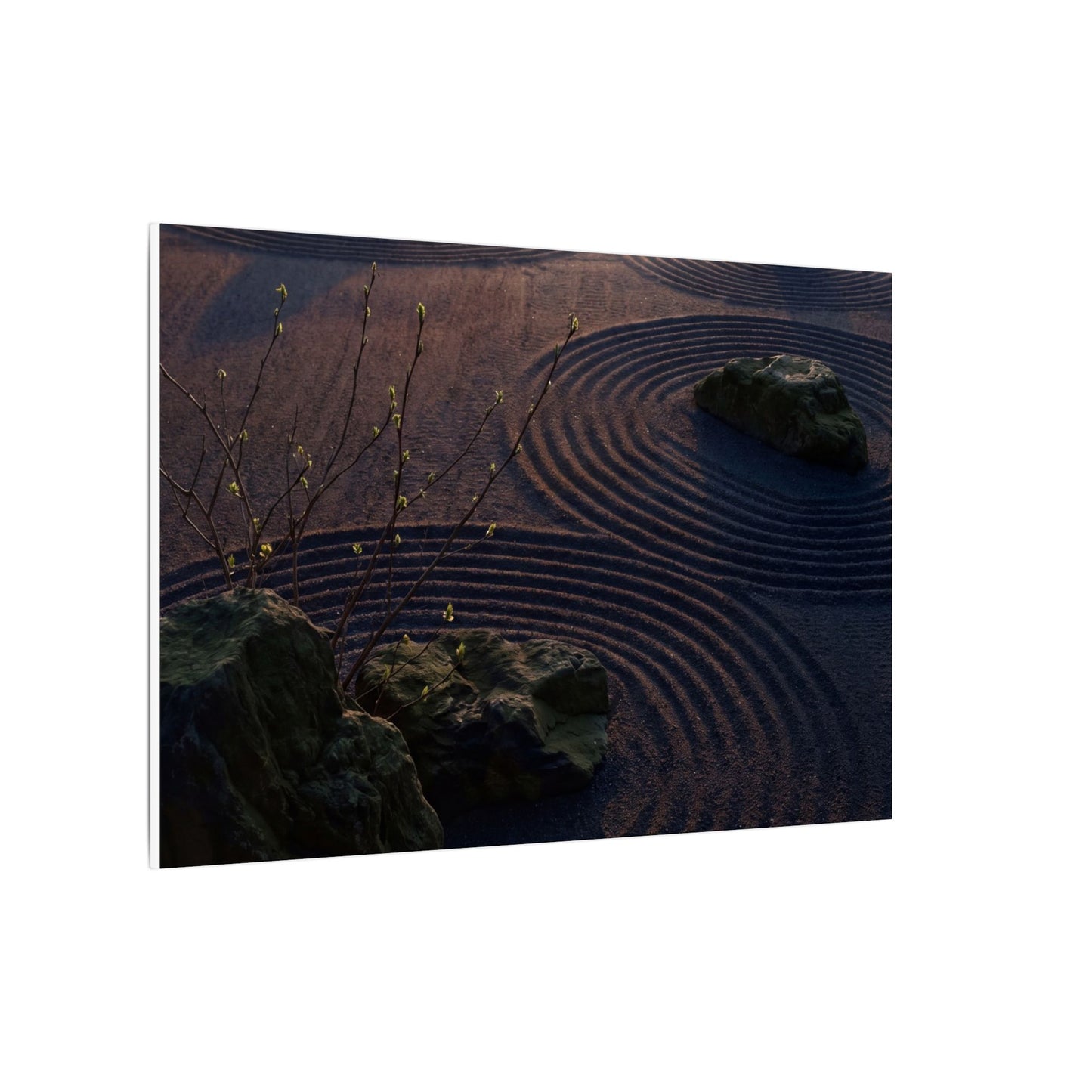 Spring Rock Garden Shadow Zen Canvas Art | Luxurious Decor