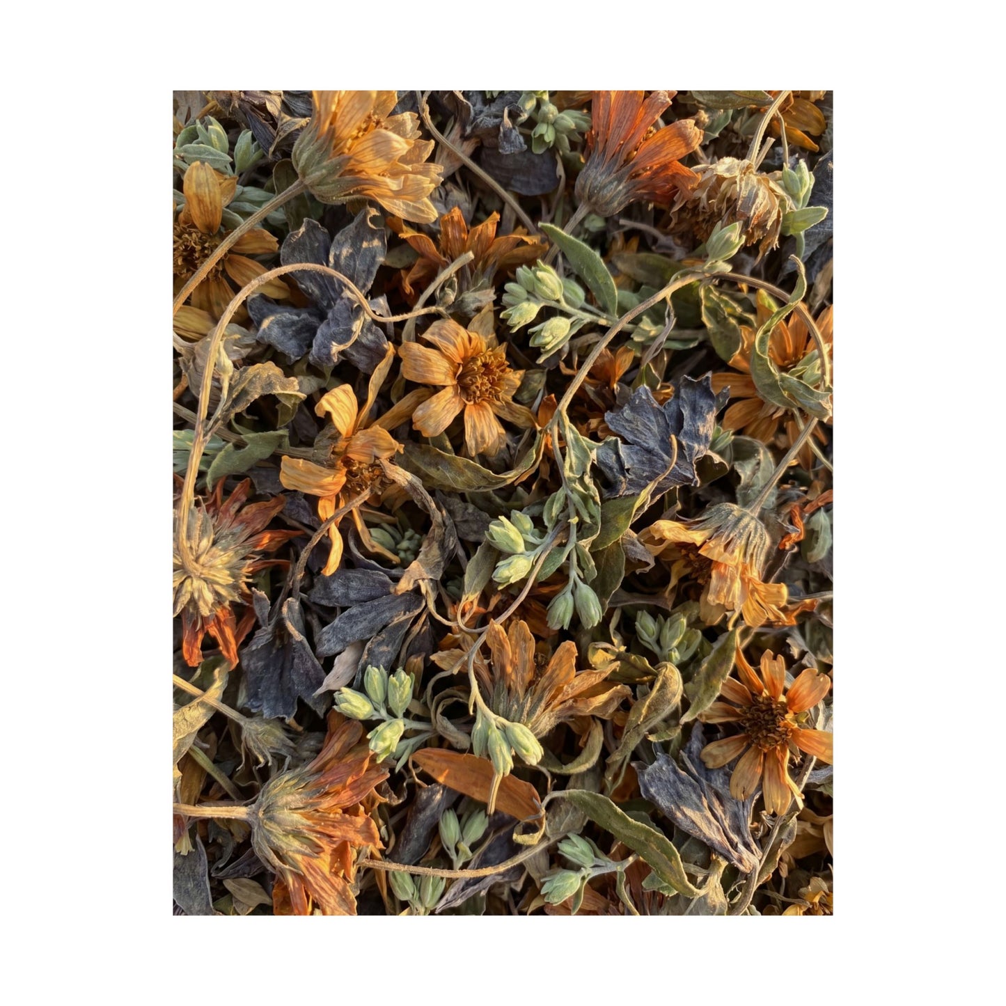 Spring Dried Flowers Japanese Pattern Wall Art Print | Warm Decor