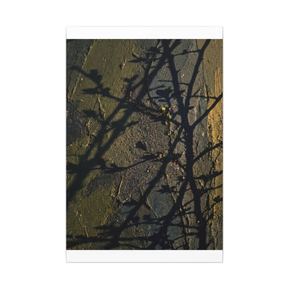 Kanso Shadow Play Canvas Art - Dark Japandi Dark Texture