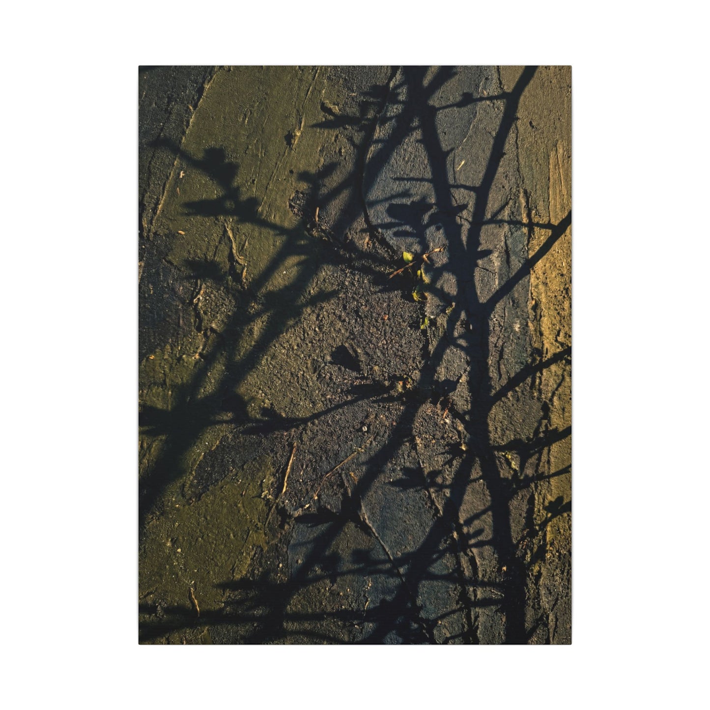 Kanso Shadow Play Canvas Art - Dark Japandi Dark Texture