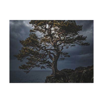 Dappled Pine Tree Canvas Art - Dark Japandi Fukinsei Art Print
