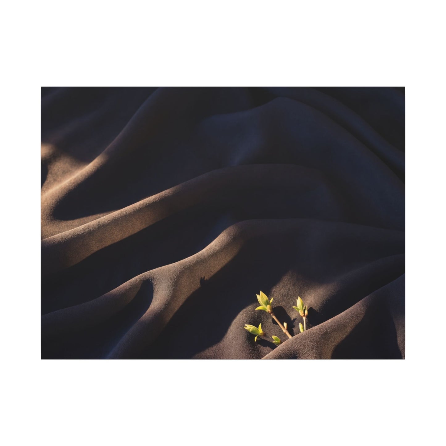 Silk Drape Shadow Zen Canvas Art | Luxurious Dark Japandi Art