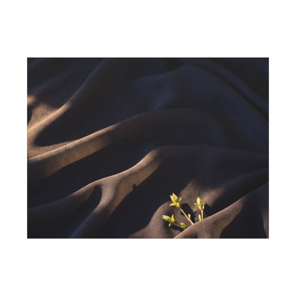 Silk Drape Shadow Zen Canvas Art | Luxurious Dark Japandi Art