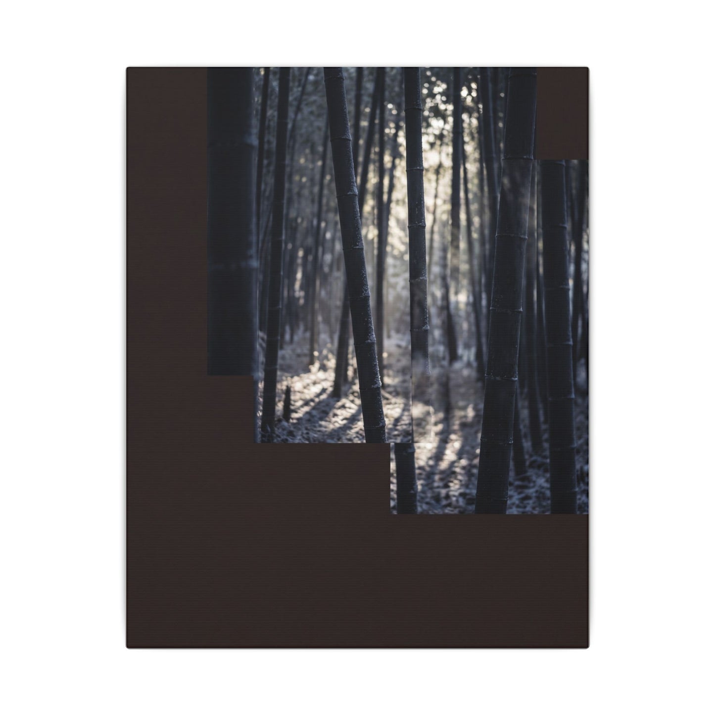 Bamboo Grove Canvas Art | Winter Dark Japandi Moody Minimal Art