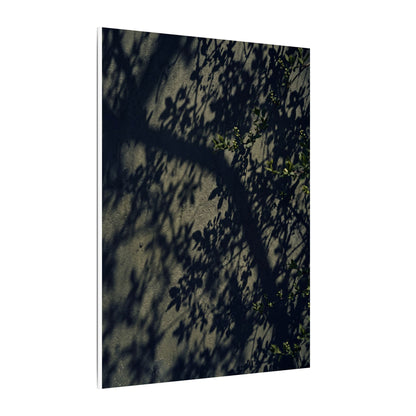 Atmospheric Shadow Play Canvas Art - Moody Minimal Dark Japandi