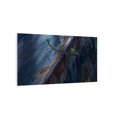 Rust Patina Canvas Art | Spring Dark Japandi Shadow Zen Art