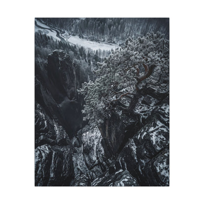 Dark Japandi Pine Tree in Dappled | Dark Texture Canvas Art Art Print