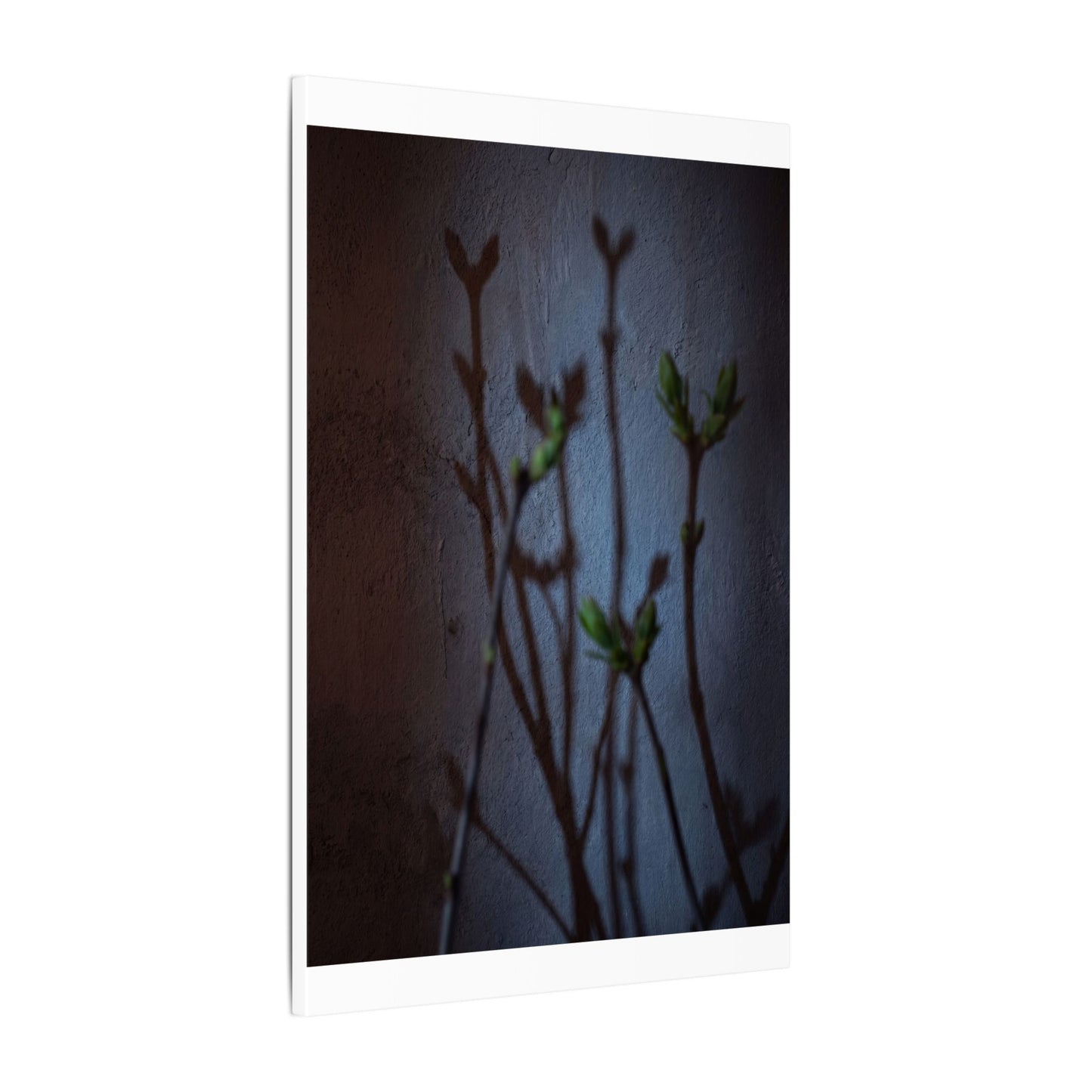 Shadow Play Spring Canvas Art | Dark Japandi Sophisticated Design