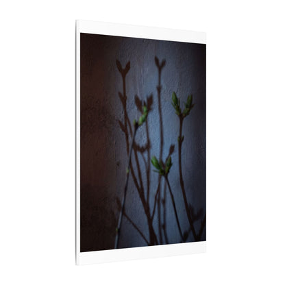 Shadow Play Spring Canvas Art | Dark Japandi Sophisticated Design