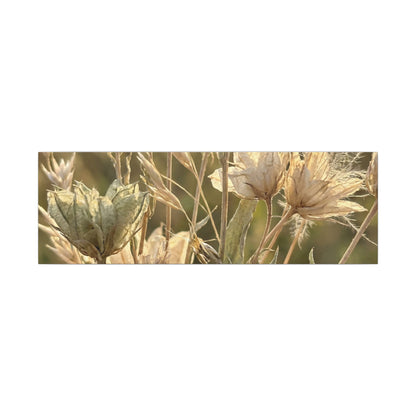 Summer Dried Flowers Minimal Line Canvas Art | Cozy Decor