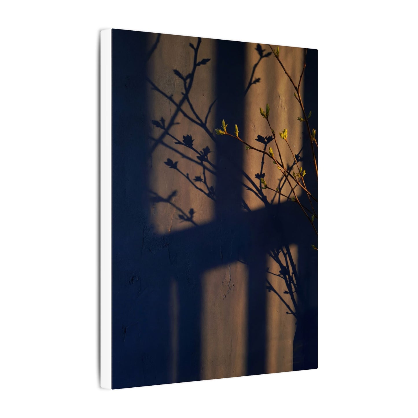 Shadow Play Canvas Art | Spring Dark Japandi Shadow Zen Art