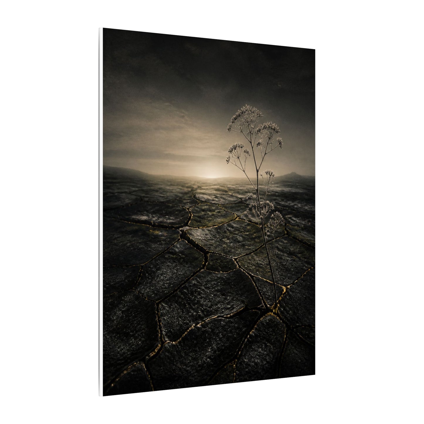 Dawn Cracked Earth Canvas Art - Dark Japandi Mono No Aware