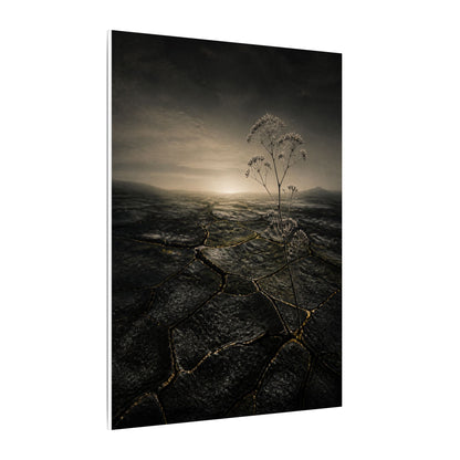 Dawn Cracked Earth Canvas Art - Dark Japandi Mono No Aware