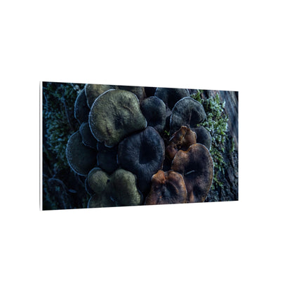 Wild Mushrooms Moody Minimal Canvas Art | Moody Dark Japandi Art