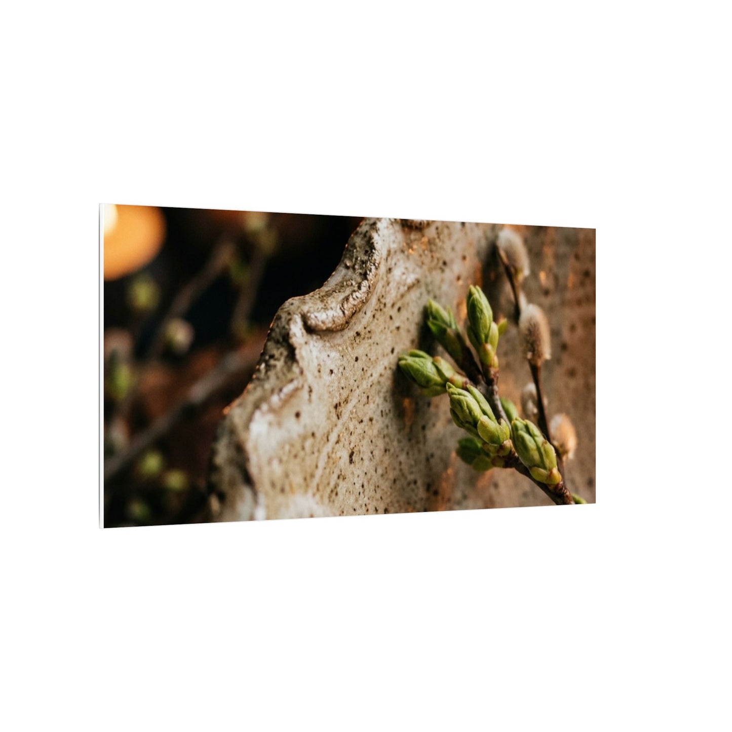 Overcast Ceramic Bowl Canvas Art - Japandi Ma