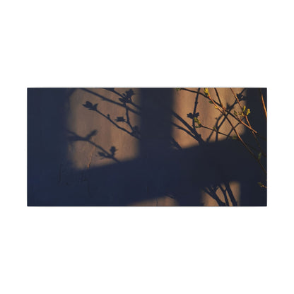 Shadow Play Canvas Art | Spring Dark Japandi Shadow Zen Art