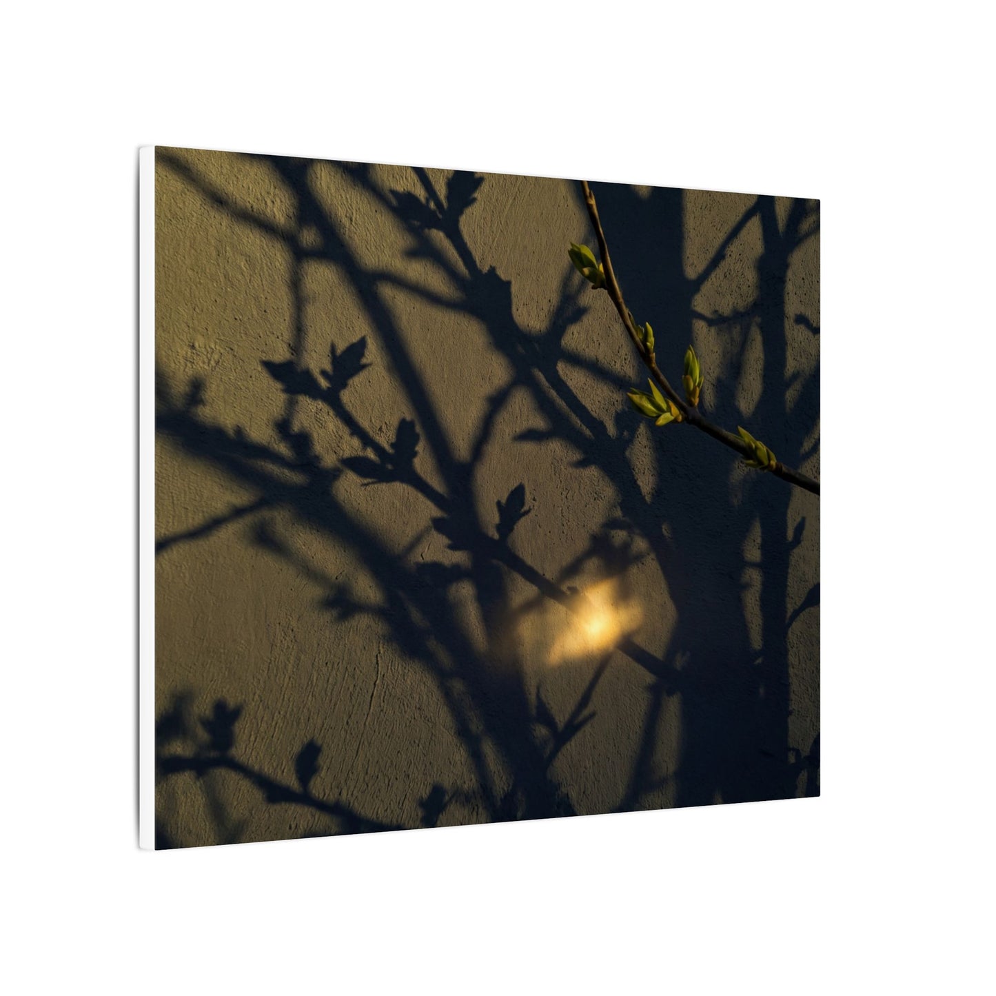 Bold Shadow Play Canvas Art - Moody Minimal Dark Japandi