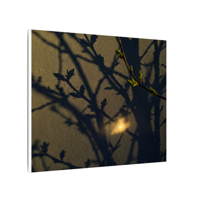 Bold Shadow Play Canvas Art - Moody Minimal Dark Japandi