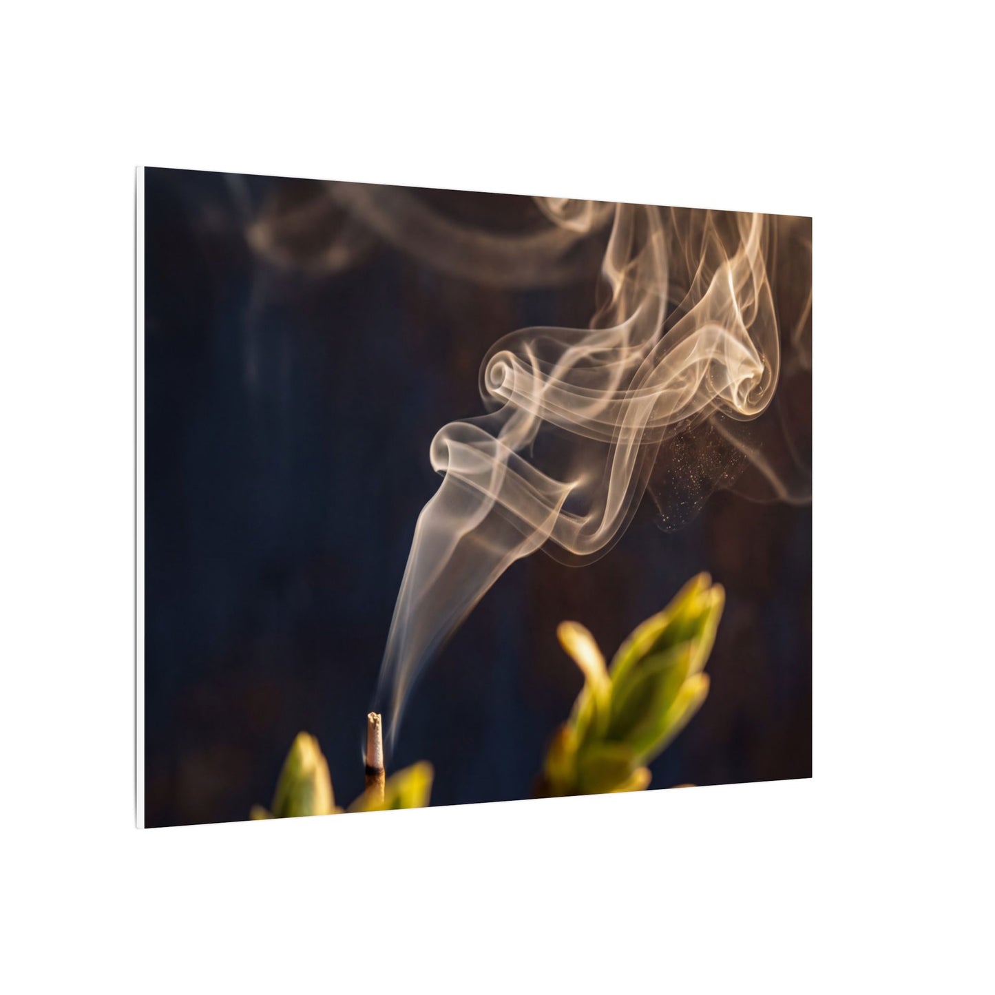 Incense Smoke Spring Canvas Art | Dark Japandi Atmospheric Design