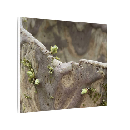 Overcast Ceramic Bowl Canvas Art - Japandi Fukinsei