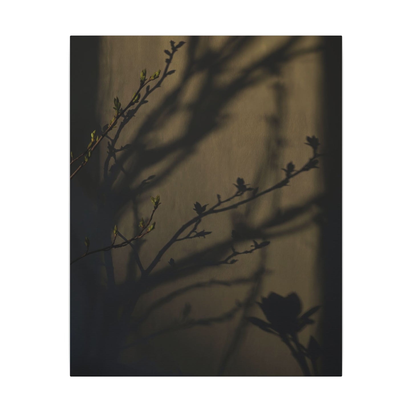 Seijaku Shadow Play Canvas Art - Dark Japandi Charcoal Ink