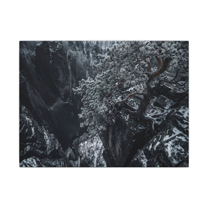 Dark Japandi Pine Tree in Dappled | Dark Texture Canvas Art