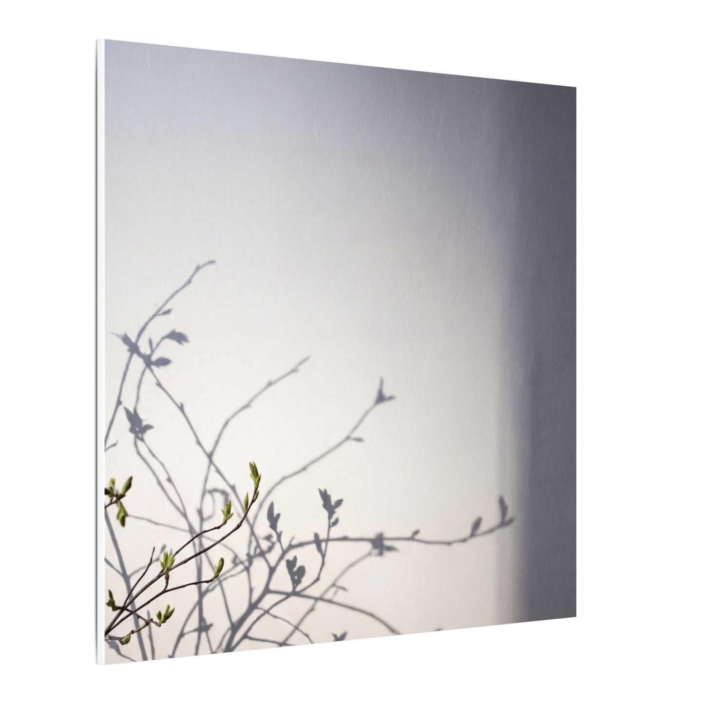 Japandi Shadow Play in Dawn | Japanese Pattern Canvas Art