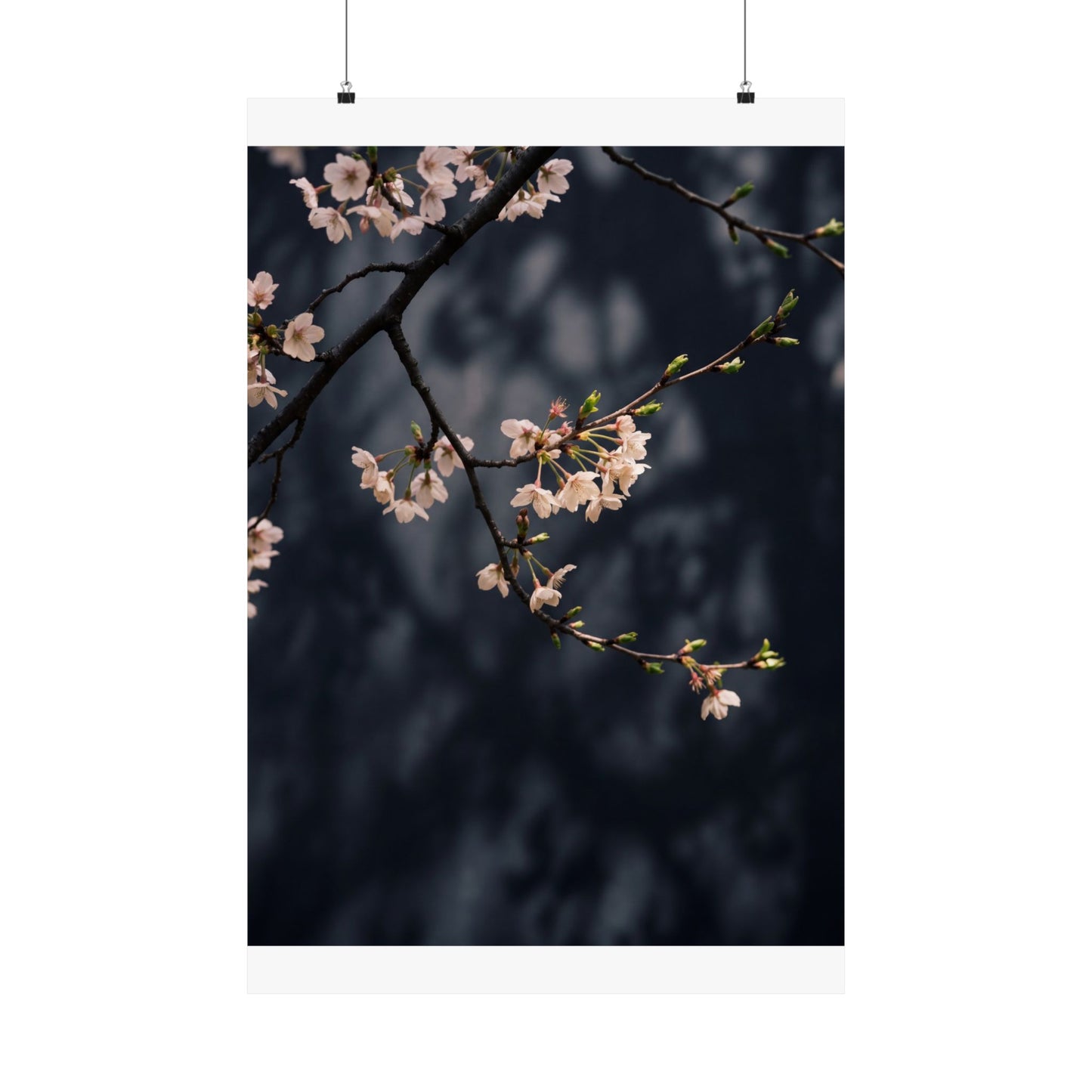 Dappled Cherry Blossom Wall Art Print - Dark Japandi Ma