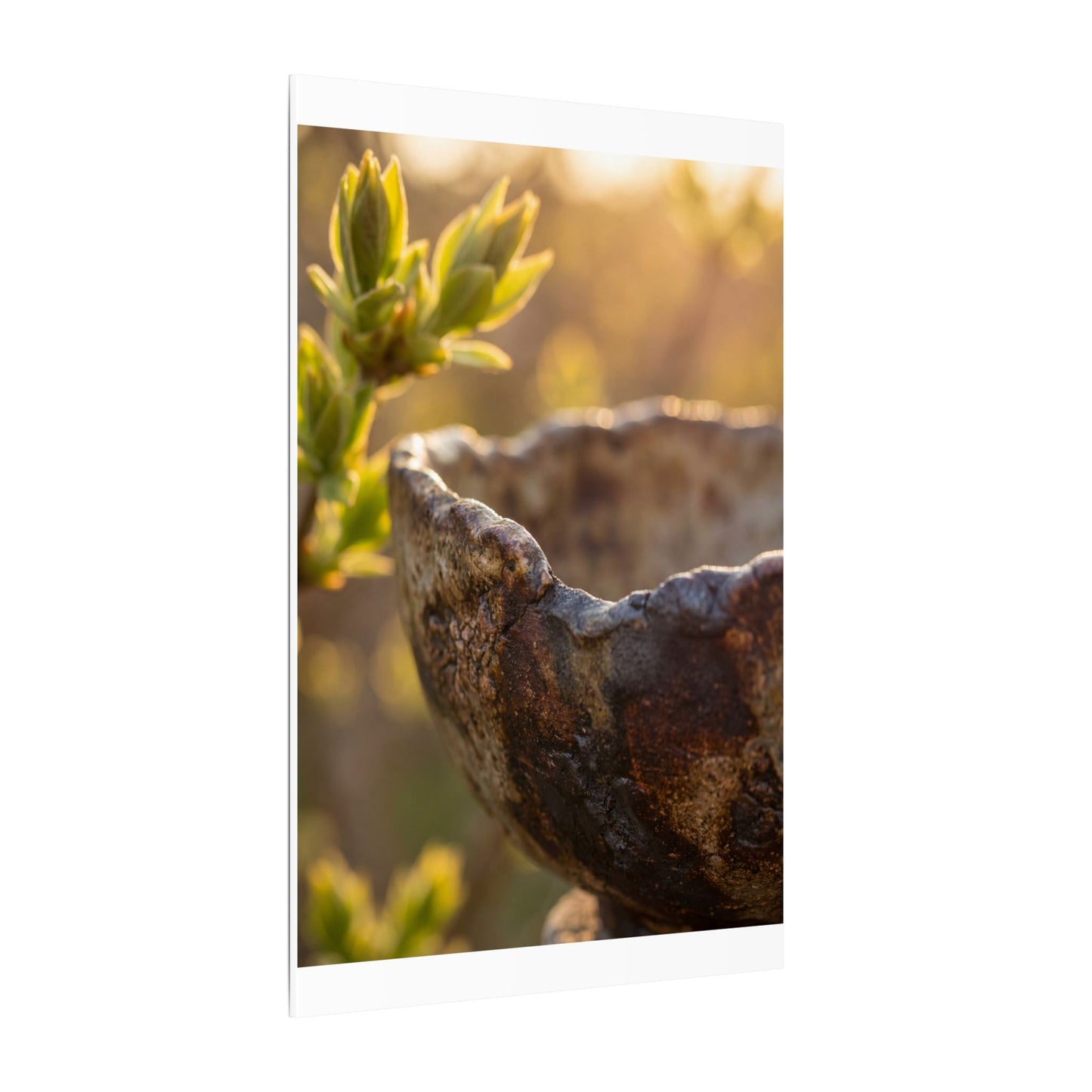 Golden Hour Ceramic Bowl Canvas Art - Dark Japandi Ma