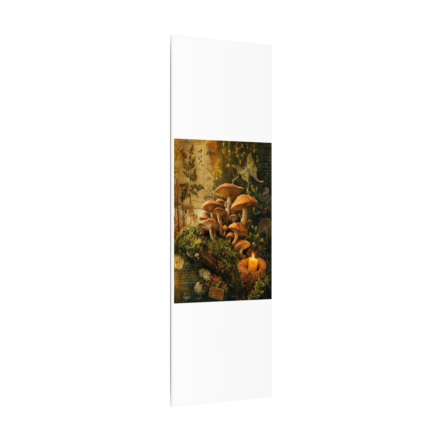 Spring Wild Mushrooms Herbarium Canvas Art | Earthy Decor