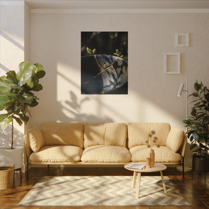 Seijaku Broken Pottery Canvas Art - Dark Japandi Shadow Zen