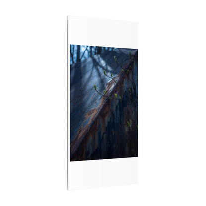 Rust Patina Canvas Art | Spring Dark Japandi Shadow Zen Art