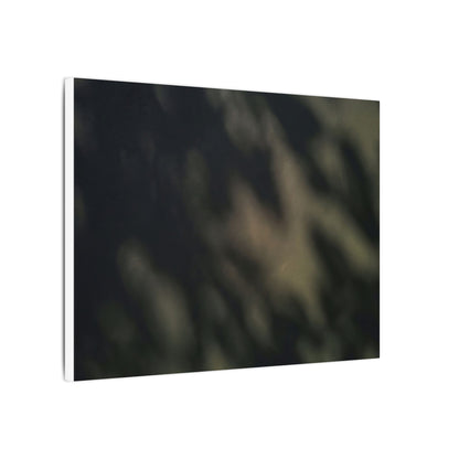 Dappled Shadow Play Canvas Art - Dark Japandi Ma