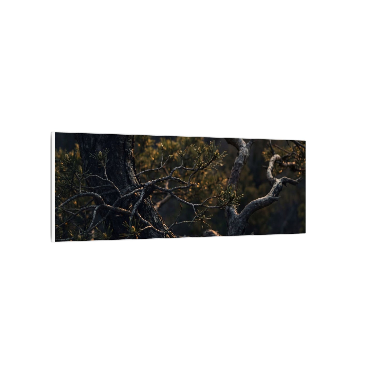 Moody Pine Tree Canvas Art - Moody Minimal Dark Japandi