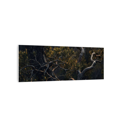Moody Pine Tree Canvas Art - Moody Minimal Dark Japandi
